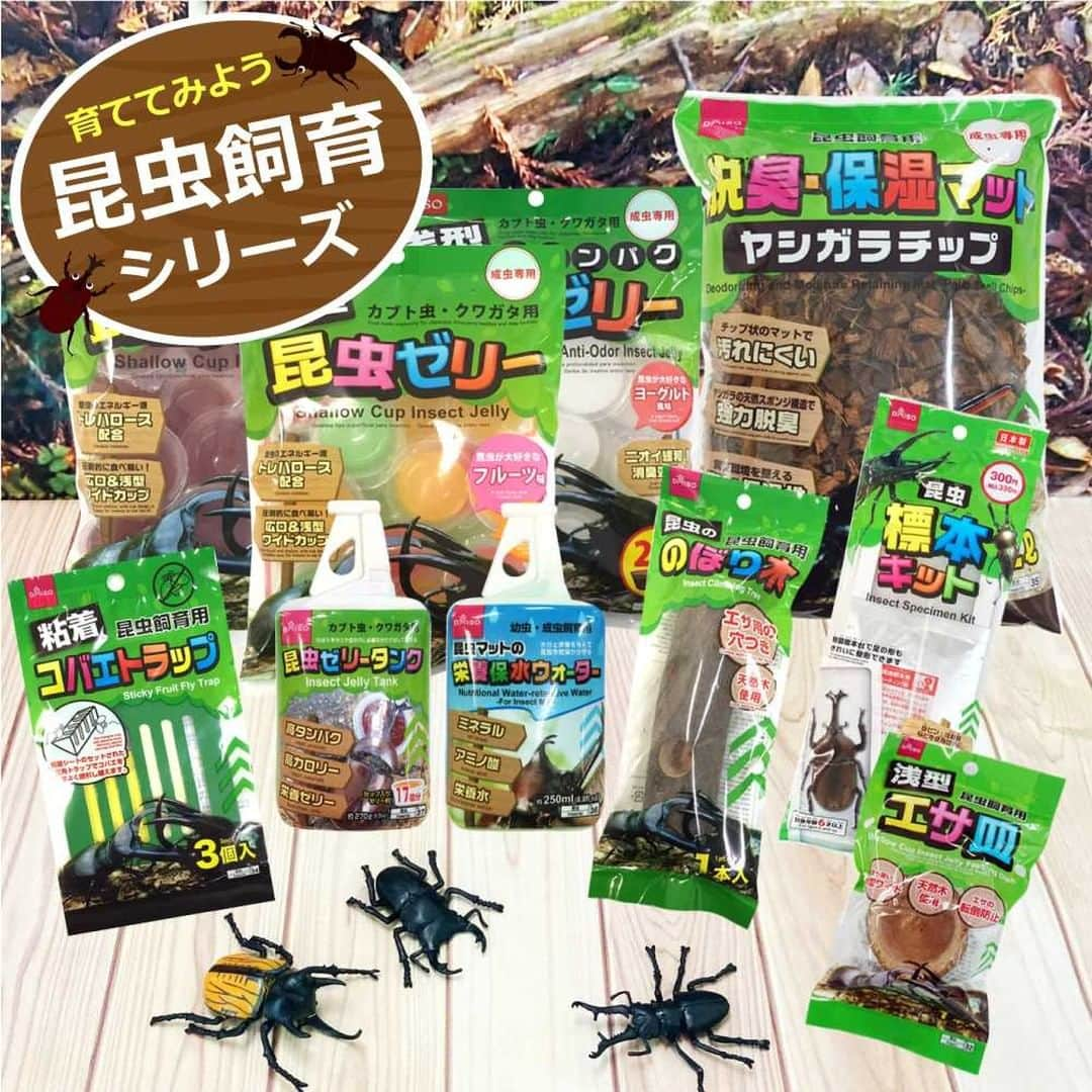 ダイソーさんのインスタグラム写真 - (ダイソーInstagram)「カブト虫やクワガタ虫を育ててみよう！ 飼育環境を整えるマットや栄養満点ゼリー、親子で楽しめる標本キットなど種類豊富です！ . 昆虫飼育シリーズ ※各種100円（税込110円）～300円（税込330円）  ※店舗によって品揃えが異なり、在庫がない場合がございます ※商品パッケージの説明文を読んで正しくご使用ください ※画像はイメージです。実際とは異なる場合がございます  #ダイソー #daiso #daisojapan #100yenshop  #100均 #100均パトロール #昆虫飼育 #昆虫ゼリー #標本キット #飼育マット #コバエトラップ #昆虫」7月22日 12時01分 - daiso_official