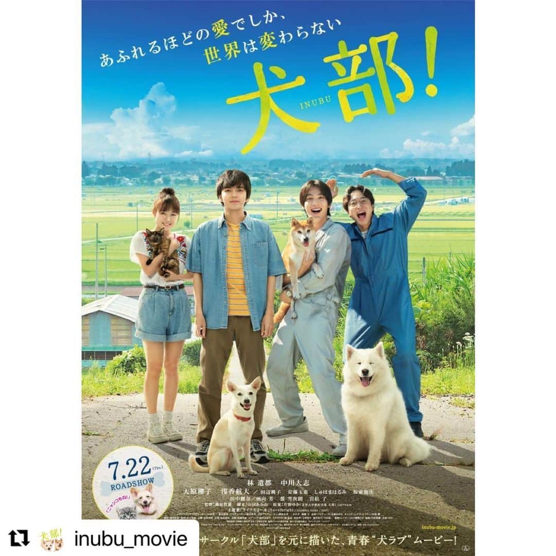 田辺桃子さんのインスタグラム写真 - (田辺桃子Instagram)「映画「犬部！」本日より公開です🐶🐱 ⁡ ひとの心にすーっと染み渡る動物たちの優しさやパワーは改めて凄いです ⁡ 癒しと感動で溢れますように。 メッセージが届きますように。 ⁡ 是非お楽しみください🌿 ⁡ #犬部」7月22日 12時33分 - momoko__tanabe