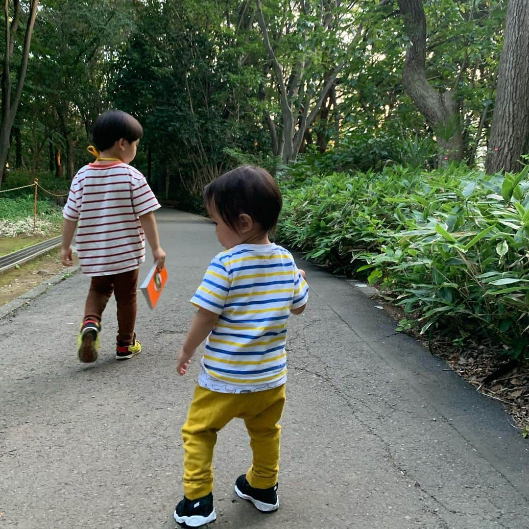 安田美沙子さんのインスタグラム写真 - (安田美沙子Instagram)「昨日は、2人をスクールに預けて仕事させて貰ったので、もう18時だったけど。。。  最後にぼくの夏休み的な時間を作りました🌈  夏だ！と言うことで、せみが捕まえたかった(私が)笑 ひぐらしや、バッタの音も聞こえた。抜け殻、松ぼっくり、みみず。。。昆虫図鑑🐞を片手に夢中になりました。  夕飯の時間は、たまには遅くてもいいや！ 楽しいを優先✨ 1日の最後に公園で自然と触れ合うオマケが付いてきたら嬉しいかな😊  暑くて可哀想だし、遅い時間なら涼しいし⭐️ ほんの1時間だけど、充実しました❤️  またサプライズで行いこう😏  #park #nature  #ぼくの夏休み　#虫取り #セミ取り　#昆虫図鑑 #めざせ昆虫博士 #brothers #boys」7月22日 13時30分 - yasuda_misako