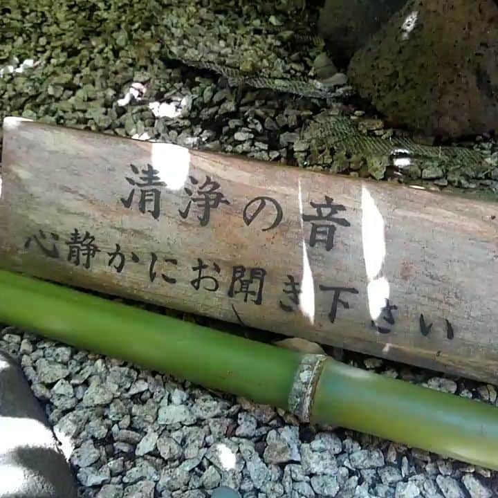 のインスタグラム：「撮影のご縁で  聴いてみてください」