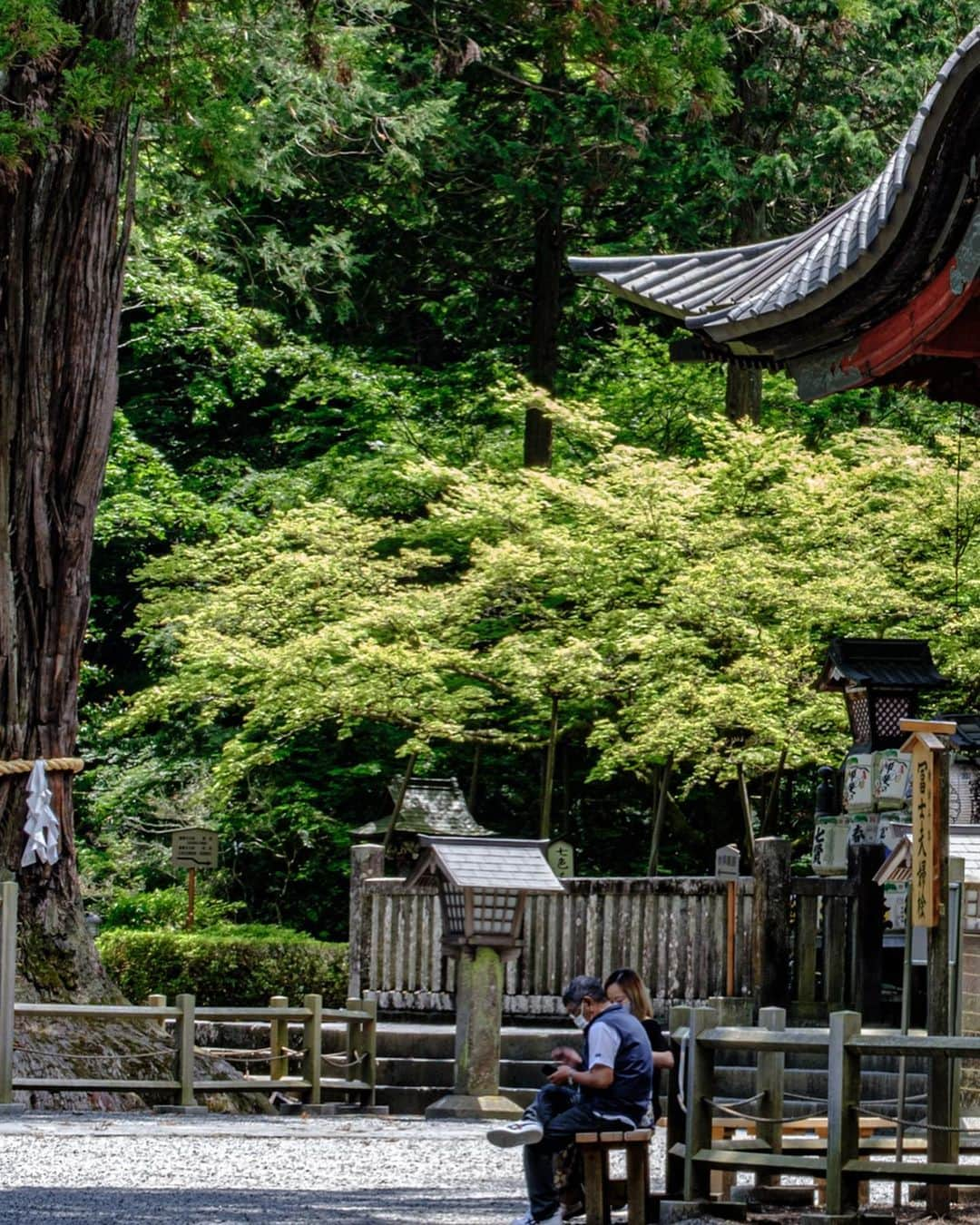 SHOCK EYEさんのインスタグラム写真 - (SHOCK EYEInstagram)「1番好きな神社と言ってもいいくらいの古社、北口本宮冨士浅間神社⛩  @vocemagazine の連載で色々とこの場所について語っているけれど、 とにかく木々のパワー、そしてすぐ後ろにそびえる富士山からのパワーが凄い。  大好きな場所は、大木に囲まれた長い参道と、日本トップクラスの大鳥居⛩  何もかもがダイナミックなパワースポット。 都内から遠いけれど、定期的に参拝している大切な神社さんだよ＾＾  ミュージシャンを仕事にできたのは、きっとこの神社のご利益🙏 感謝感謝✨  【神社習慣】 詳しく語っているのはこちらから ↓ https://i-voce.jp/feed/708985/  #北口本宮冨士浅間神社 #shockeye #富士山 #fujisan #mtfuji #japantravel #japantrip #fujifilm #gfx100s #xs10 #beautifuldestinations #discoverjapan #discoverearth #voyaged #awesome_photographers #discovertokyo #tokyophotography #IamATraveler #wonderful_places #japanphoto #japanphotography #japan_of_insta #livingonearth #theglobewanderer」7月22日 15時47分 - shockeye_official