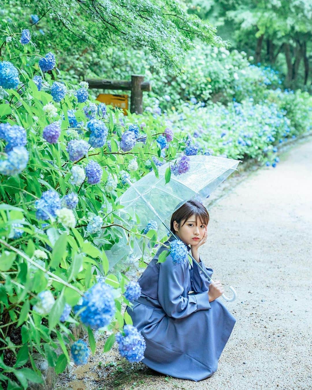 山本ゆうかのインスタグラム：「紫陽花のことを「あじー」って言う人いますか？」