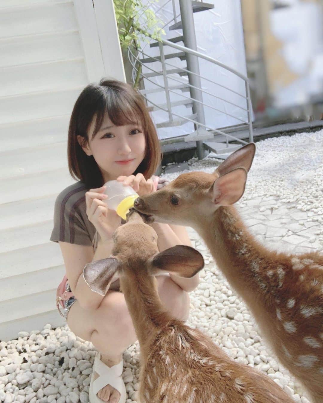 Yamiさんのインスタグラム写真 - (YamiInstagram)「被鹿亲亲了😳！！！！！」7月22日 20時34分 - real__yami