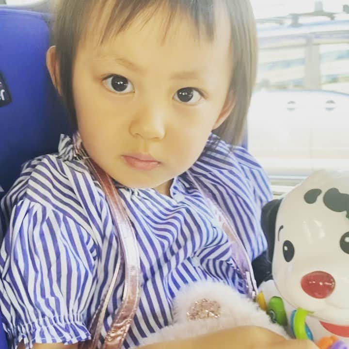 YOPPYのインスタグラム：「. アンジェラ　が娘にプレゼントしてくれた犬　 とても　長期間お仕事してます 　娘の宝物　  ありがとう  @angela.hider 様」
