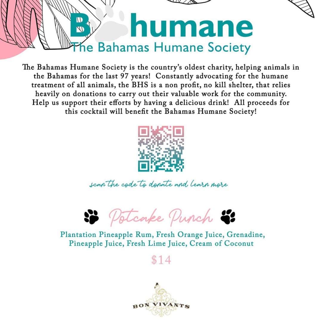 パンプキンさんのインスタグラム写真 - (パンプキンInstagram)「🐶”Hello good sir! I’d like a Potcake Punch please!”   We are thrilled to share that we have teamed up with @bonvivantsbahamas to create a signature cocktail to raise money for the @bahamashumanesociety !!!! All proceeds will be donated. The Bahamas Humane Society is an incredible place and do so many amazing things for the animals of the Bahamas! And a special thank you to @bonvivantsbahamas for making this a reality! So hopefully I’ll see you there for a drink… or two! Peace and love, Team Pumps Xoxox」7月23日 8時02分 - pumpkintheraccoon