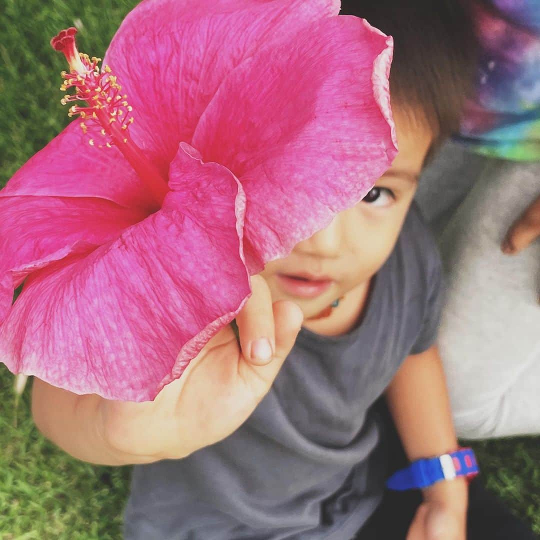 吉川ひなのさんのインスタグラム写真 - (吉川ひなのInstagram)「今日も息子がお花をくれた♡  お庭にたっくさん咲いてる ハイビスカス🌺  #息子HawaiiLife」7月23日 16時24分 - hinanoyoshikawa