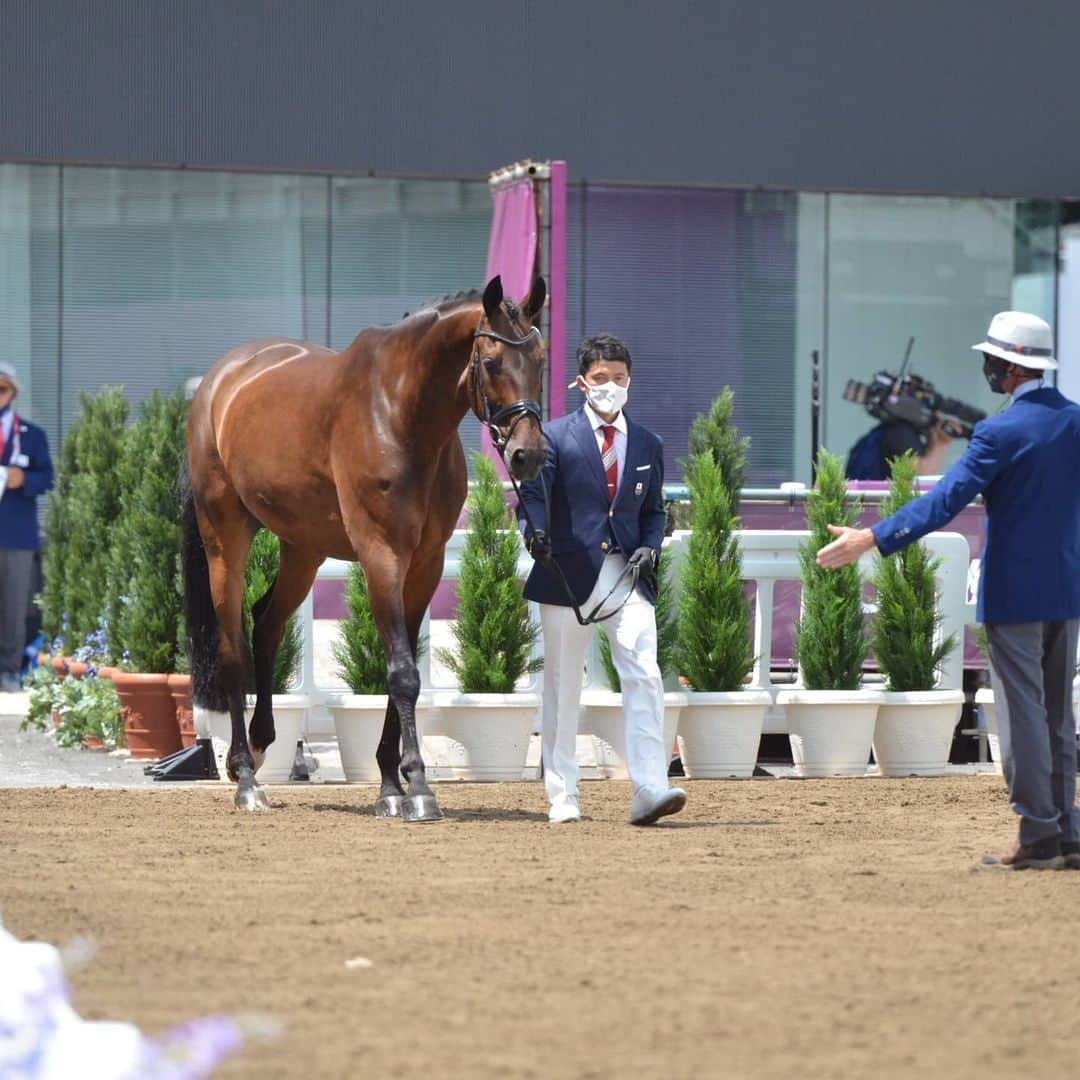 林伸伍さんのインスタグラム写真 - (林伸伍Instagram)「Beautiful horse Scolari😍  #馬術 #馬場馬術 #馬 #乗馬 #スコラリ #Scolari #horse #dressage #equestrian  #horseriding #horsesofinstagram #東京オリンピック #東京五輪 #日本代表 #teamjapan #林伸伍 #roadtotokyo　#東京2020 #tokyo2020 #athlete #アスリート」7月23日 17時52分 - hayashingo0125