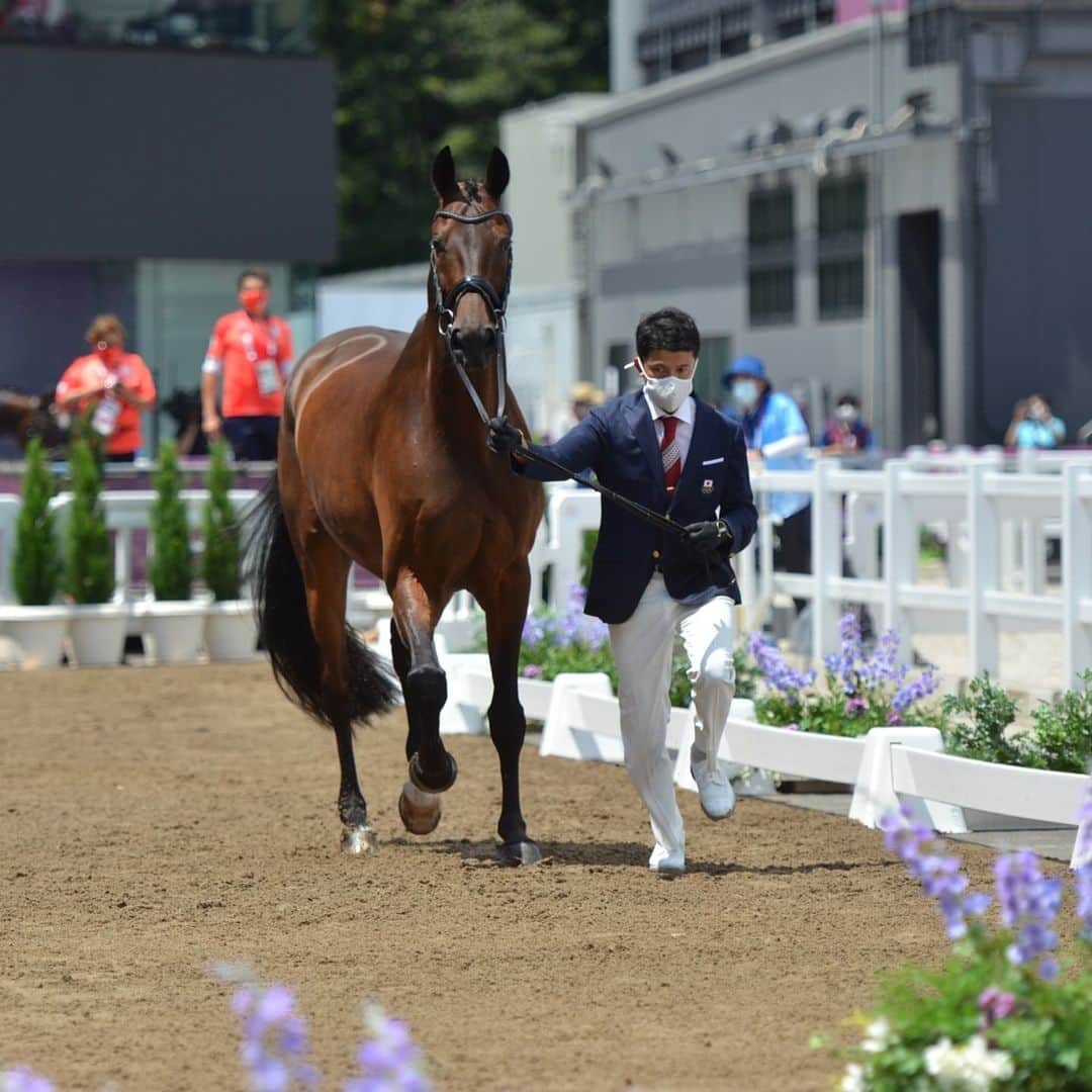 林伸伍のインスタグラム：「Beautiful horse Scolari😍  #馬術 #馬場馬術 #馬 #乗馬 #スコラリ #Scolari #horse #dressage #equestrian  #horseriding #horsesofinstagram #東京オリンピック #東京五輪 #日本代表 #teamjapan #林伸伍 #roadtotokyo　#東京2020 #tokyo2020 #athlete #アスリート」