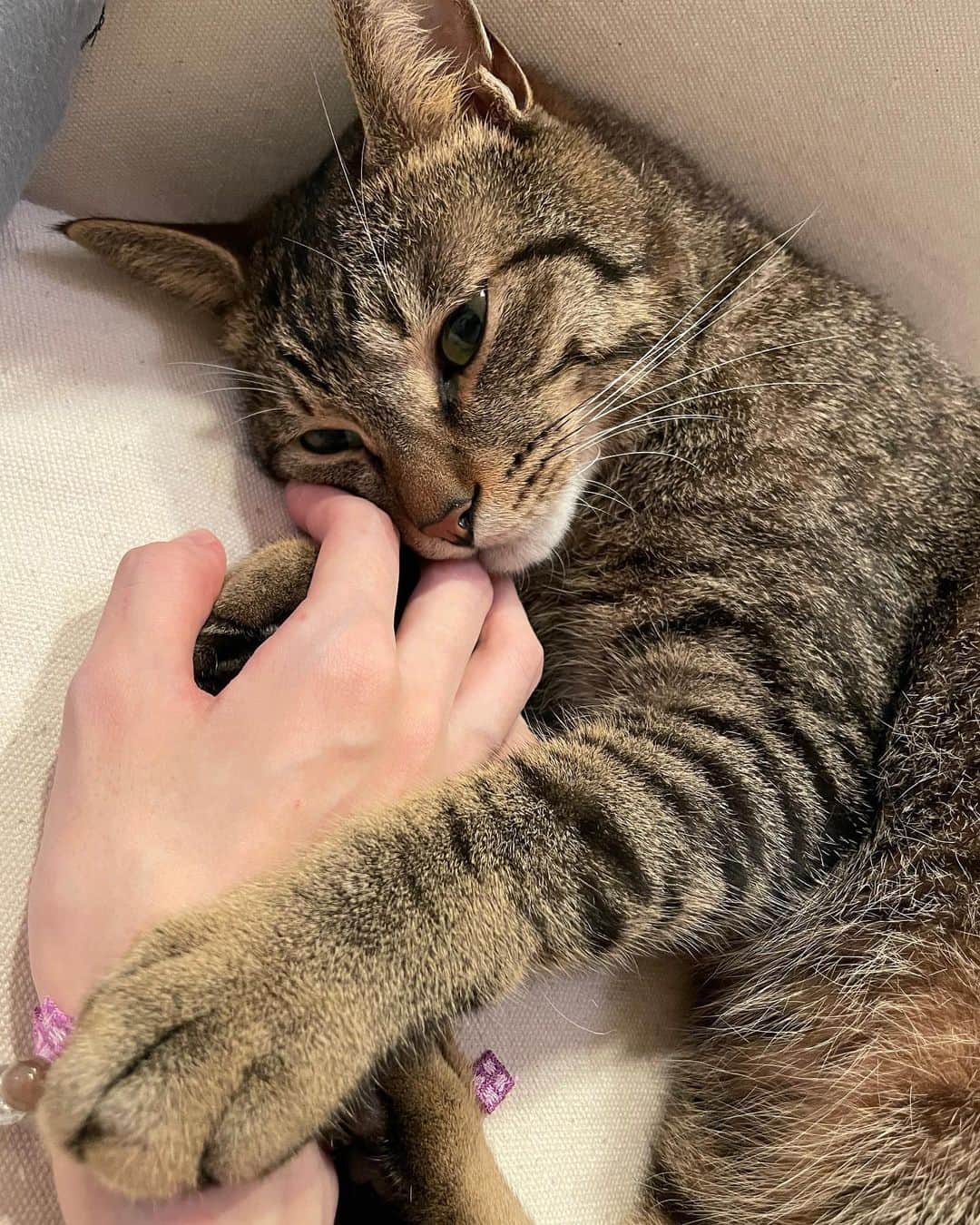 のどかのインスタグラム：「. 腎瘻が詰まって炎症おこしてて 40度の熱が続いちゃってしんどすぎて 病院に電話したら緊急入院になっちゃいました。 . 詰まり治してもらって 血液製剤と抗生剤でだいぶ熱落ち着いて すごーく楽になったから 月曜日には退院できるかな💓 . 急に入院決まったからご飯作り置き できなかった🥲パパごめん . パパが病院まで送ってくれて 一緒に先生の話も聞いてくれて とっても心強かったです🥰ありがと . もうちょっと頑張って ちゃんと月曜日退院できるようにする！ . #癌ファイター」