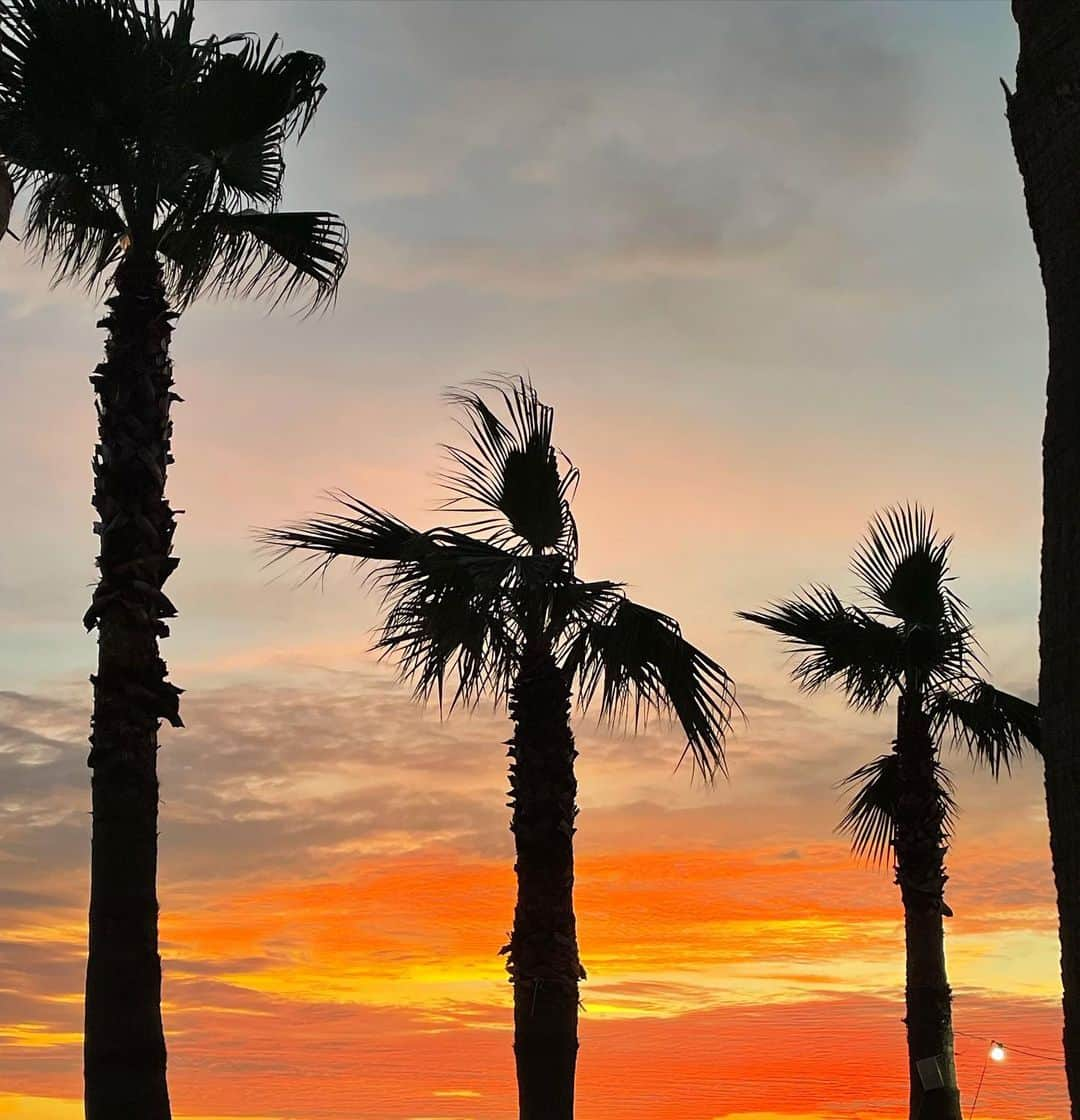 カン・ビョルのインスタグラム：「🌴🌴🌴」