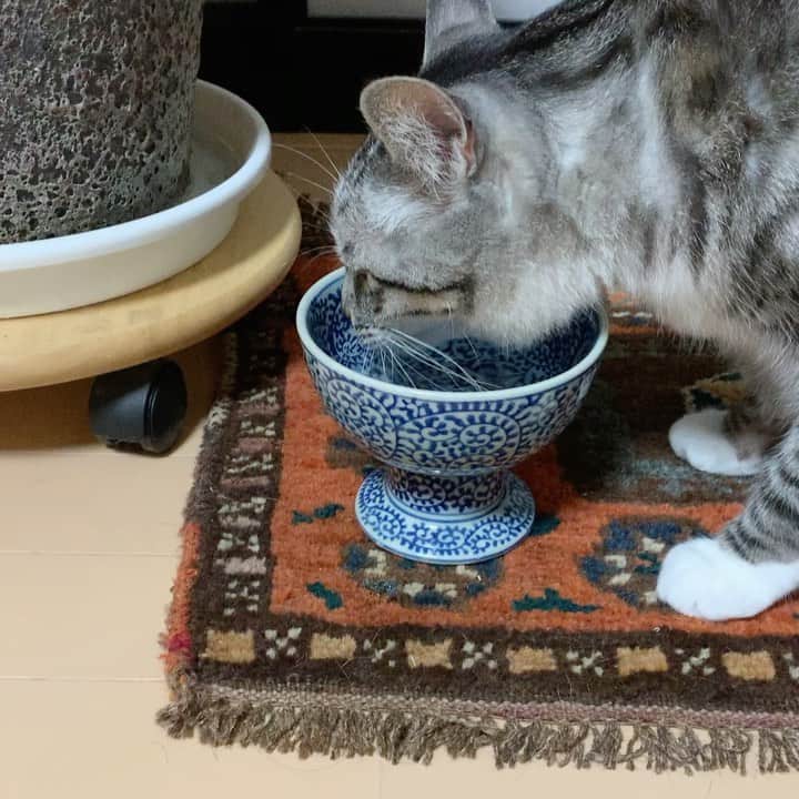 ?りっこ?のインスタグラム