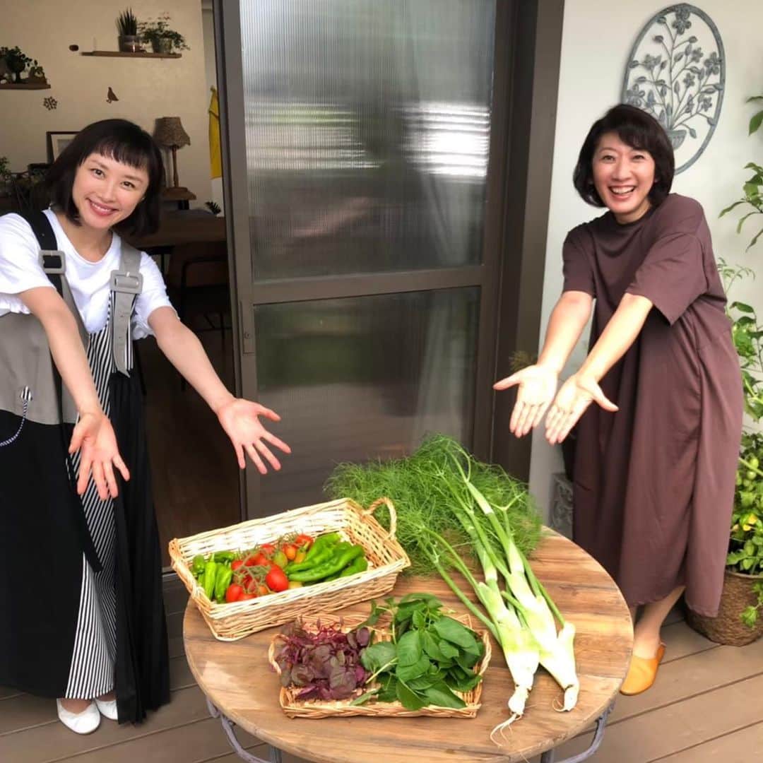 山口もえのインスタグラム：「・  明日の「やさいの時間」は ミニニンジンとミニゴボウを育てます🌱✨ プランターを「な・なぬー⁈」なアイディアで ミニゴボウ栽培用に仕立ててしまいます😍 さすがタカさん👏👏 アンコール放送📺ぜひお楽しみください♪  ３枚目の写真は・・・ おまけ♡笑  7月25日(日) Eテレ📺8:00〜8:25 趣味の園芸 やさいの時間 もえのプランター菜園   #やさいの時間#TV #ミニニンジン#ミニゴボウ #プランター菜園 #深町貴子 さん💕 #はやく皆に逢いたーい♡」