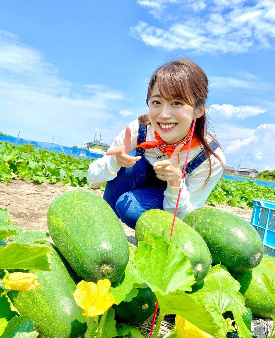 澤井志帆のインスタグラム