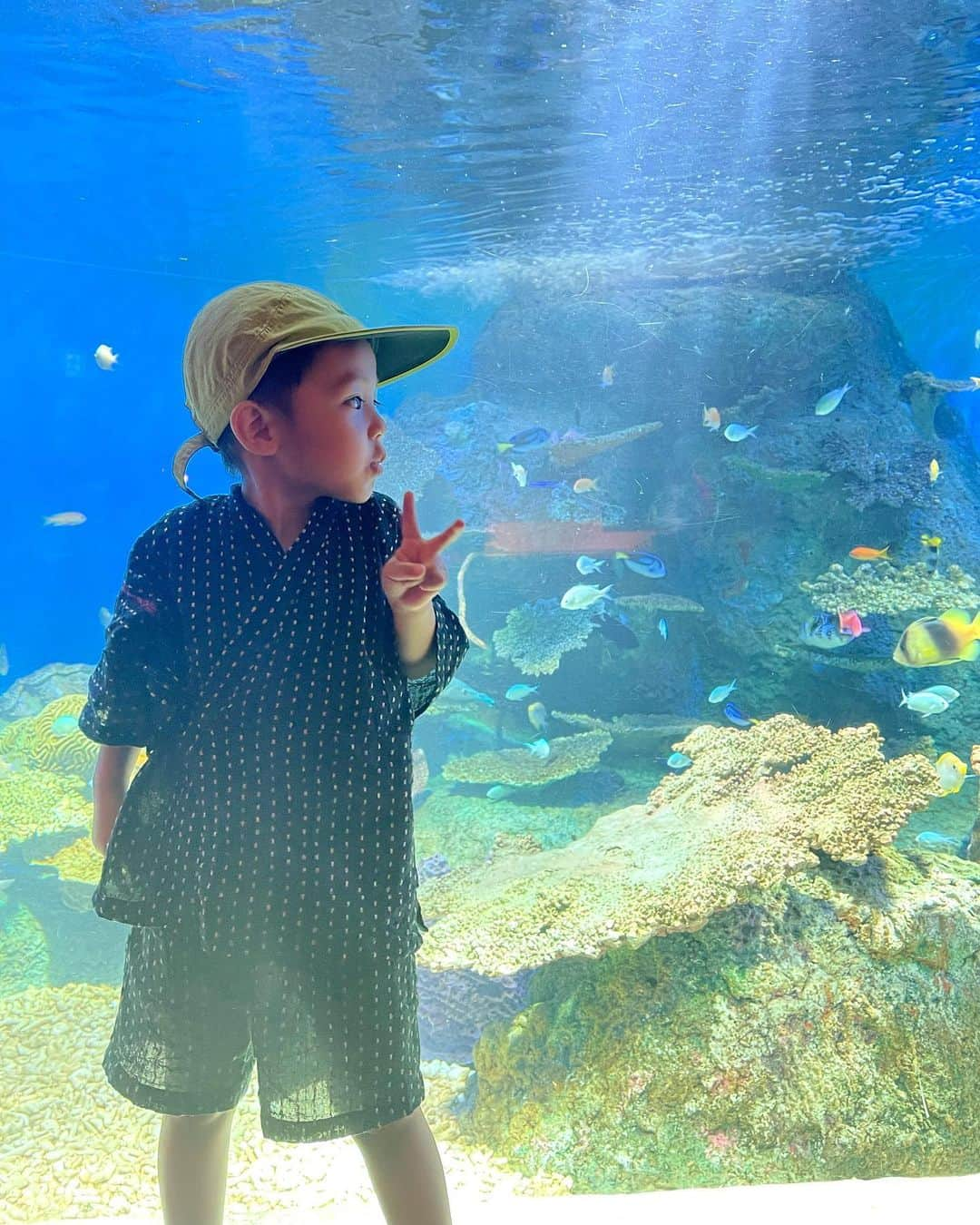 宮城舞さんのインスタグラム写真 - (宮城舞Instagram)「昨日から行きたがっていた水族館🐟🐠🦭🐬 イルカショーは なぜか緊張したらしいです😂🐬👦🏻  #甚平を無駄に着させるの巻 #すんごい脱ぎたかってた😂」7月24日 17時39分 - mai_miyagi