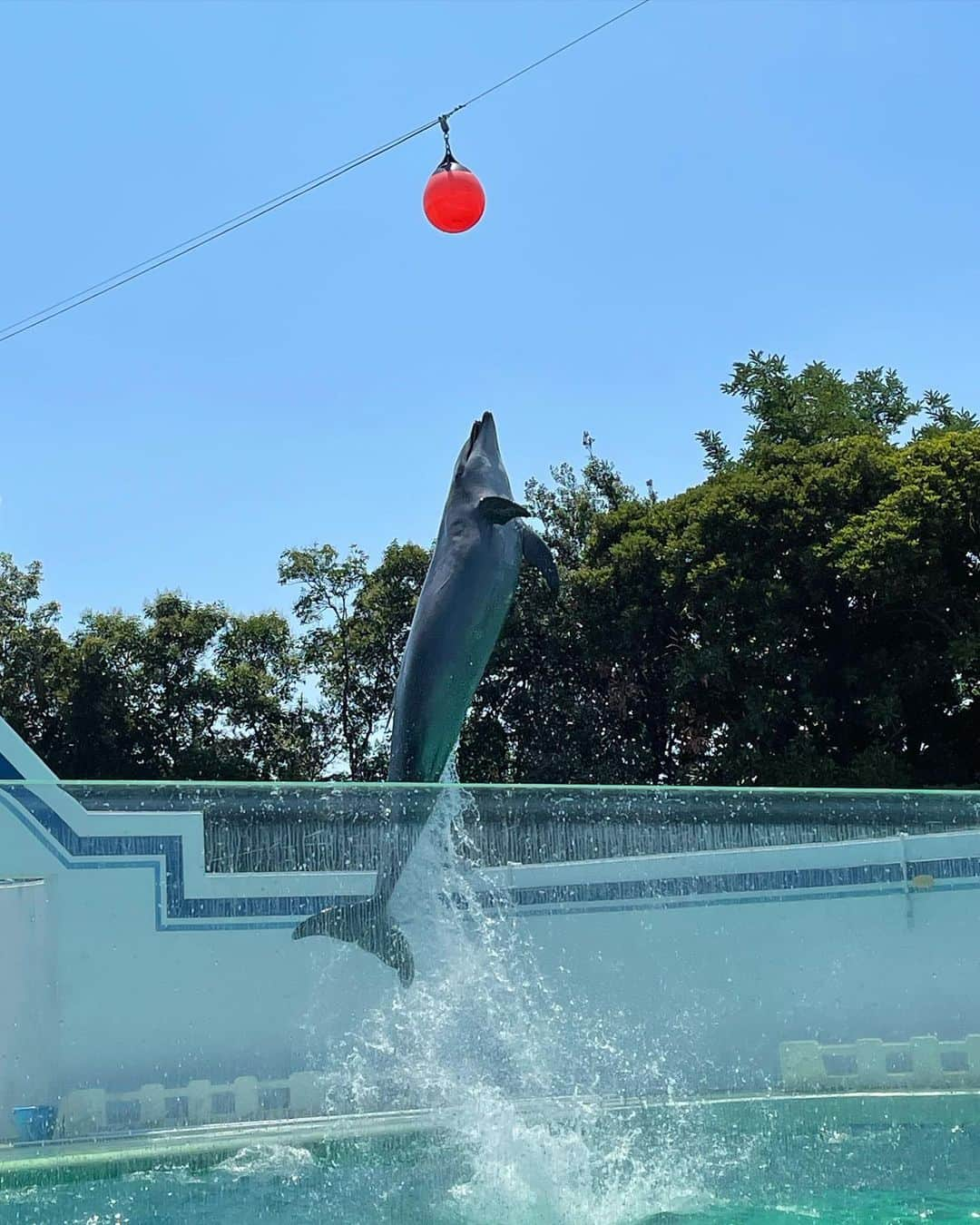 宮城舞さんのインスタグラム写真 - (宮城舞Instagram)「昨日から行きたがっていた水族館🐟🐠🦭🐬 イルカショーは なぜか緊張したらしいです😂🐬👦🏻  #甚平を無駄に着させるの巻 #すんごい脱ぎたかってた😂」7月24日 17時39分 - mai_miyagi