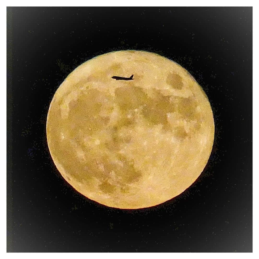 さだまさしさんのインスタグラム写真 - (さだまさしInstagram)「今日の満月🌕 「バックムーン（Buck Moon／男鹿月）」 またも旅客機が✈️ 満月に現れて👀 ビックリした〜✨ ありがたや〜🙏 . #月と旅客機 #満月 #満月と飛行機 #月と飛行機 #バックムーン #buckmoon  #牡鹿月 #さだまさし #sadamasashi」7月24日 20時24分 - sada_masashi
