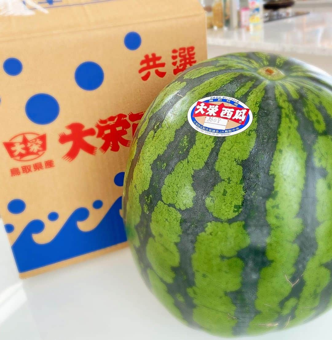 得あゆさんのインスタグラム写真 - (得あゆInstagram)「全部スイカジュース🍉🥤にして飲んだ。 #大栄スイカ  20kgくらいあったよ？🍉  ・ ・ ・ ・ ・ ・ ・ ・ ・ ・ #スイカ#西瓜#スイカジュース#スイカスムージー#スムージー#アイス#アイスクリーム#おうち#おうちごはん#おうちカフェ#おうち時間#でかい#甘い#フルーツ#手作りおやつ#朝ごはん#インスタ映え#カメラ女子#大人女子#ヘルシー#産後ダイエット#子育てママ#ママファッション#アレンジレシピ#赤ちゃんのいる生活#夫婦生活#suica#smoothie#juice」7月24日 20時42分 - tokuayu819