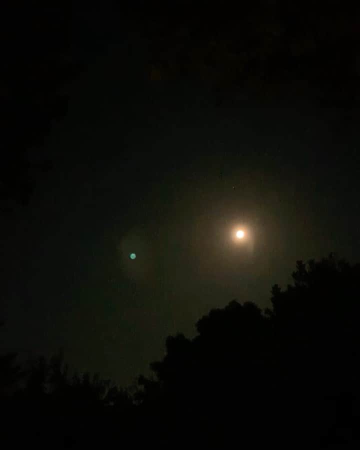 宇藤えみのインスタグラム：「満月で夜も蝉や虫たちが賑やか🌕 #暮らし」