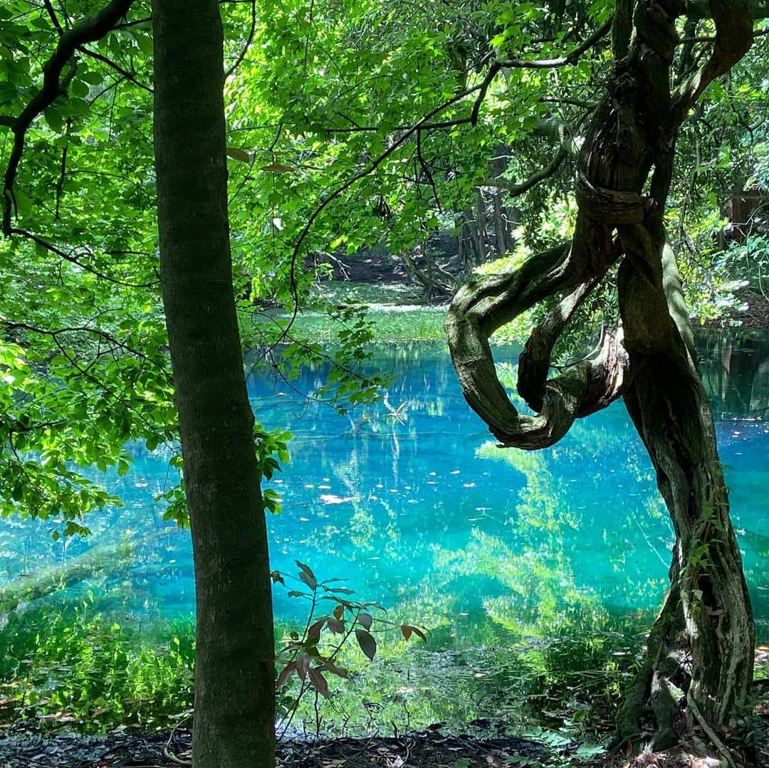 早瀬あやさんのインスタグラム写真 - (早瀬あやInstagram)「庄内の夏はいいぞ。  海でも山でも川でも遊べるし、夏といえば岩牡蠣とだだちゃ豆がとびきり美味しいし、夕暮れはピンク色に染まった雲と、耳を澄ますとヒグラシの鳴き声が聞こえるのでとても風情を感じられます🎐  ※過去pic #山形県#庄内#遊佐町#地元」7月25日 13時39分 - hayase_aya