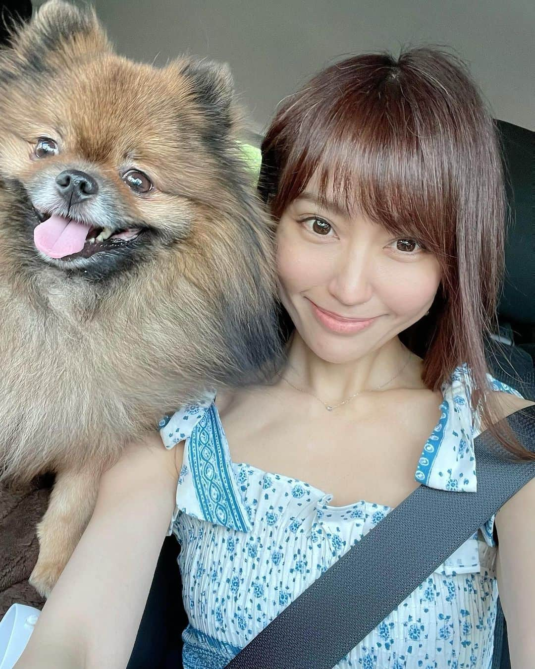 中川祐子さんのインスタグラム写真 - (中川祐子Instagram)「愛犬と海に向かって ドライブデート🚙❤️ . 夏のリゾート用に買っておいた ZARAのワンピをやっと着れて テンション上がってまーす👗💓 . ドライブが大好きなウルは 相変わらず嬉しそう☺️✨ 今日も飛びっきりの笑顔を カメラに向けてくれました😍💓 . 一方、シエルは私の膝の上で ずっと眠りに入っちゃいます(笑) . 対照的な2匹を見てると 面白くて癒されるな〜☺️💕 .  #愛犬とお出かけ  #ドライブ  #週末ドライブ #海に向かって #車大好きなわんこ  #ワンコと一緒  #連休最終日 #リゾート用ワンピ #夏のワンピース #肩のリボンがポイント  #zara  #今日はカラコンだよ  #気分転換  #revia  #大人カラコン #ポメラニアン #カニンヘンダックス  #doggylove  #drivingwithdogs  #happylifestyle」7月25日 14時34分 - nakagawa.yuko