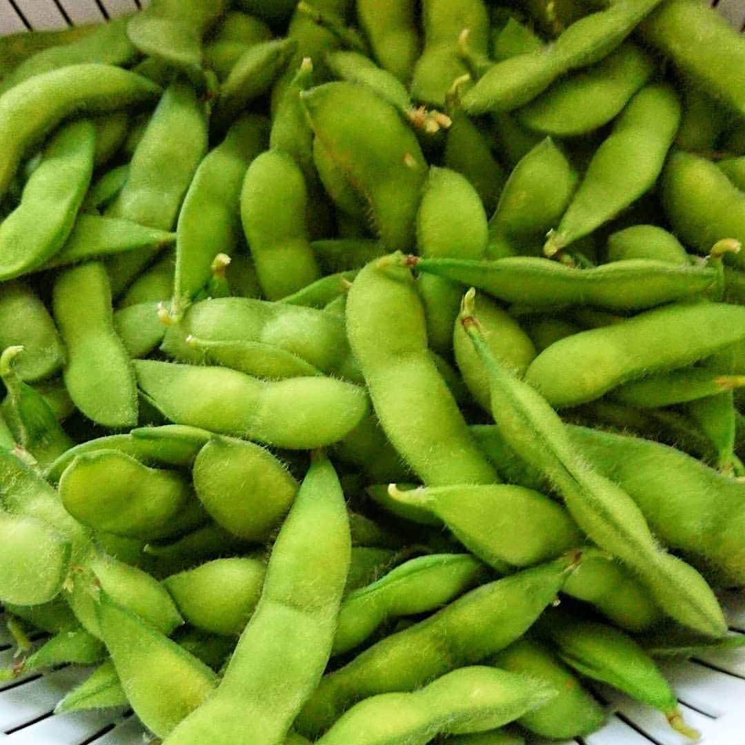 藤田昌代のインスタグラム：「実家の枝豆を茹でたよ！ 採りたては風味がすごくいい、美味しい🤗」