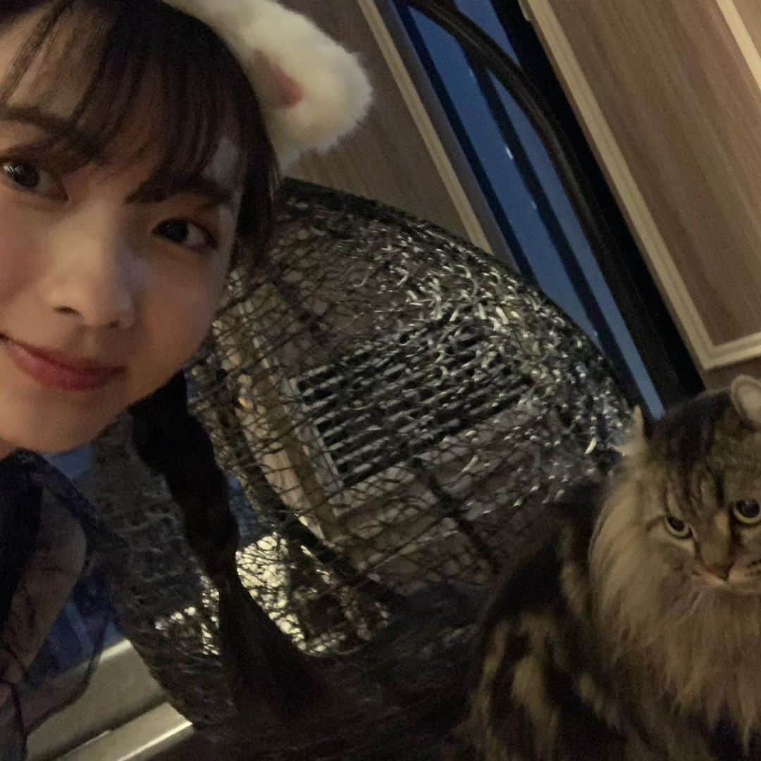 高橋恋子さんのインスタグラム写真 - (高橋恋子Instagram)「ねこみみ 🌨🦋」7月25日 16時30分 - kokko5050