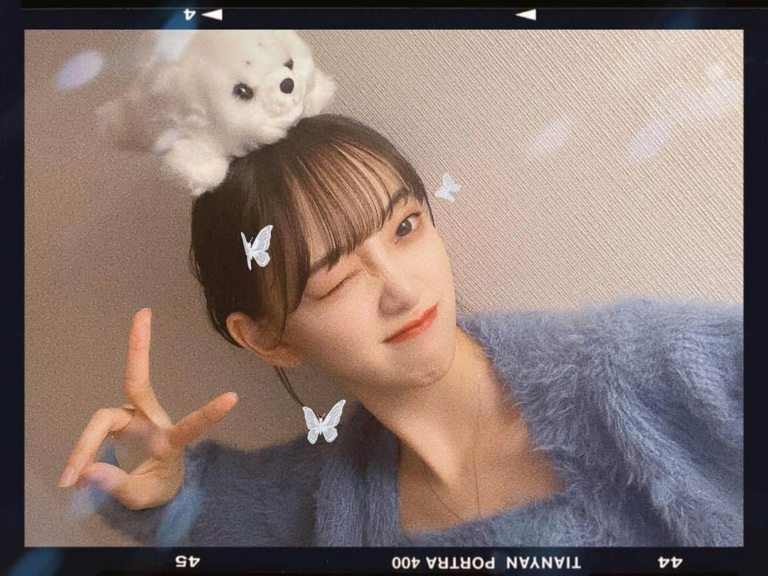 堀未央奈さんのインスタグラム写真 - (堀未央奈Instagram)「🦭  わもんちゃん！！  #次はMサイズを買う #ワモンアザラシ #アザラシ #海遊館のワモンアザラシちゃん名前何になるかなあ #私ははるさめに投票したよ」7月25日 16時43分 - horimiona_official