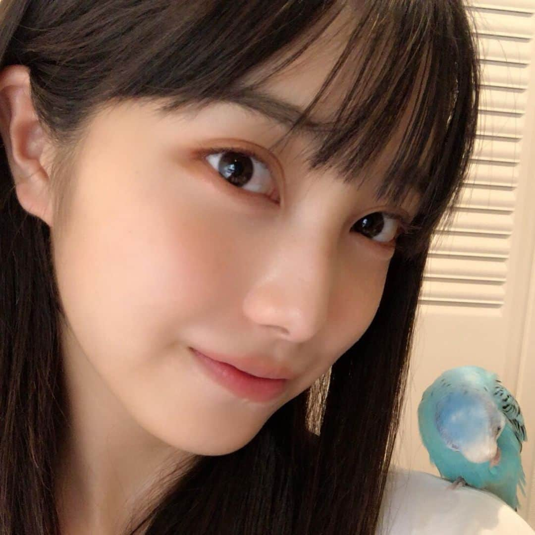 福田ルミカさんのインスタグラム写真 - (福田ルミカInstagram)「今日はぴーちゃんとお昼寝しました🥱🤍 ここ最近ぴーちゃんは私の肩でずーっと羽繕いかおねんねをしてます😌 ・ ・ ・ ・ ・ ・ ・ ・ #インコスタグラム#ぴーちゃん#男の子#おねんねタイム#羽繕い#可愛い#羽めっちゃ落ちてる#換羽#かわいんこ#福田ルミカ#女優#モデル#16歳#168cm#高校1年生#fjk#jk#acali#セルフィー」7月25日 18時28分 - fukuda_rumika