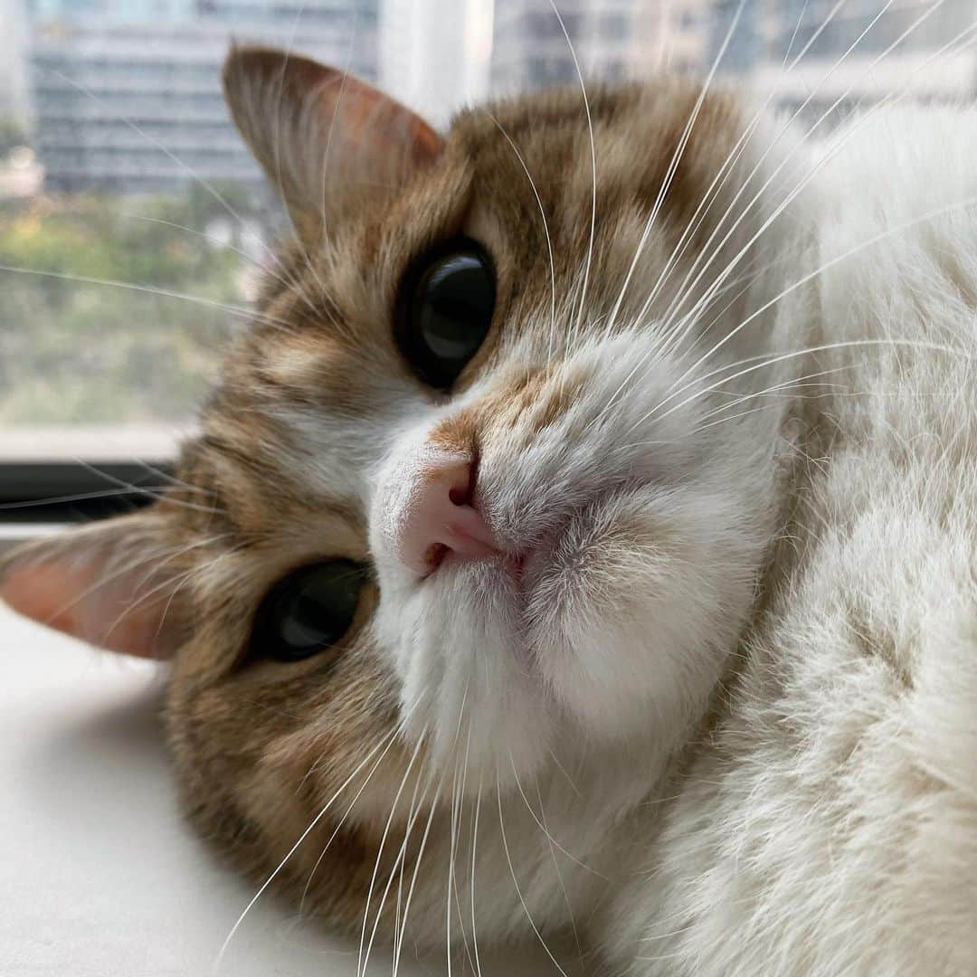 ユン・ソヌのインスタグラム：「조금 부담😅 아니.. 많이」