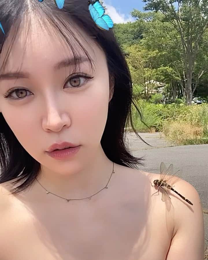 DJ mariennuのインスタグラム：「長生きしてくれますように。 #蜻蛉」