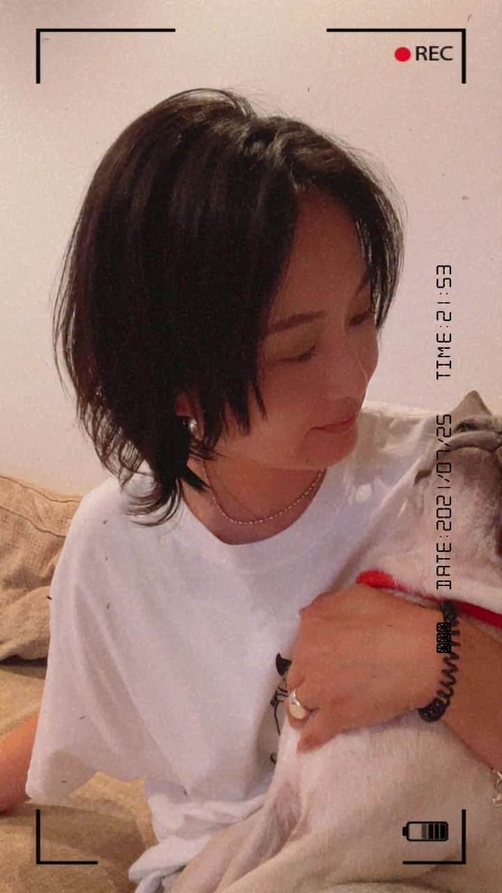 のインスタグラム