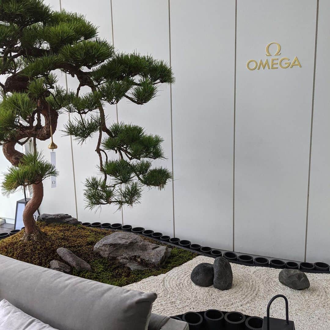 才賀紀左衛門さんのインスタグラム写真 - (才賀紀左衛門Instagram)「#omega #omegafficialtimekeeper」7月26日 23時35分 - kizaemon0213