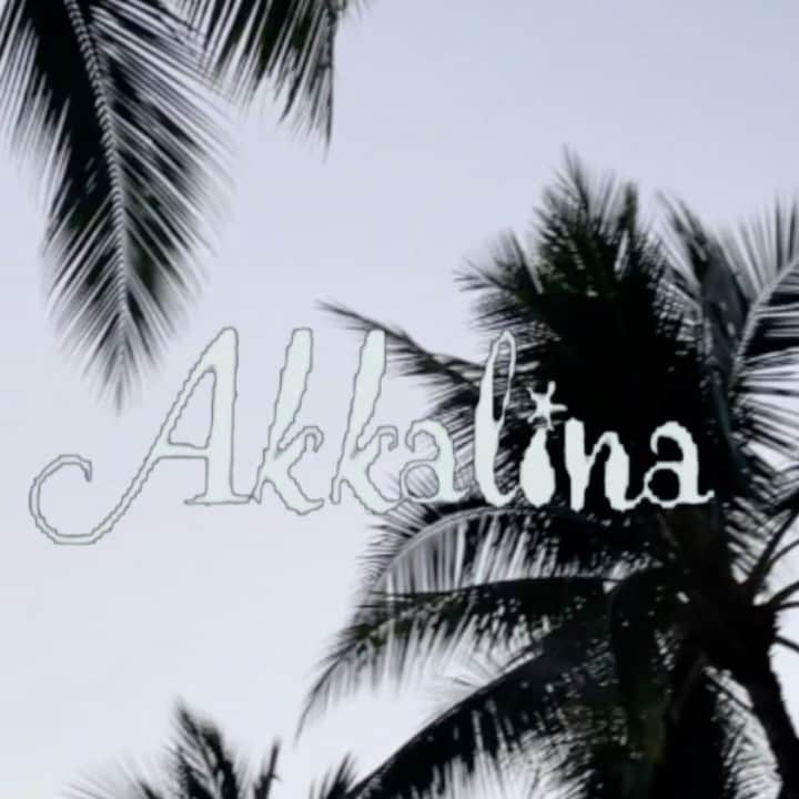 えりっこのインスタグラム：「【Akkalina 新作発売🐚🤍】 ⋆ デザインしているAkkalina @akkalina.jp  ⋆ 来週新作発売です🐚 ⋆ ⋆ 今回のテーマは貝殻みたいな海　 【The sea like shells 🐚】 ⋆ 白い波が貝殻みたいにキラキラしてて綺麗ですきなんです🐚 ⋆ ⋆ また近くになったら、もっとたくさんの写真やエピソードなど入れて投稿しますね。 ⋆ 8/3 ON SALE.🐚🤍」