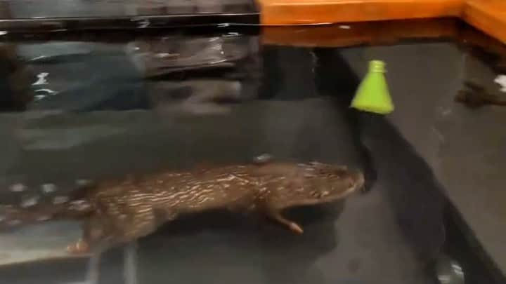 ちぃたん☆のインスタグラム