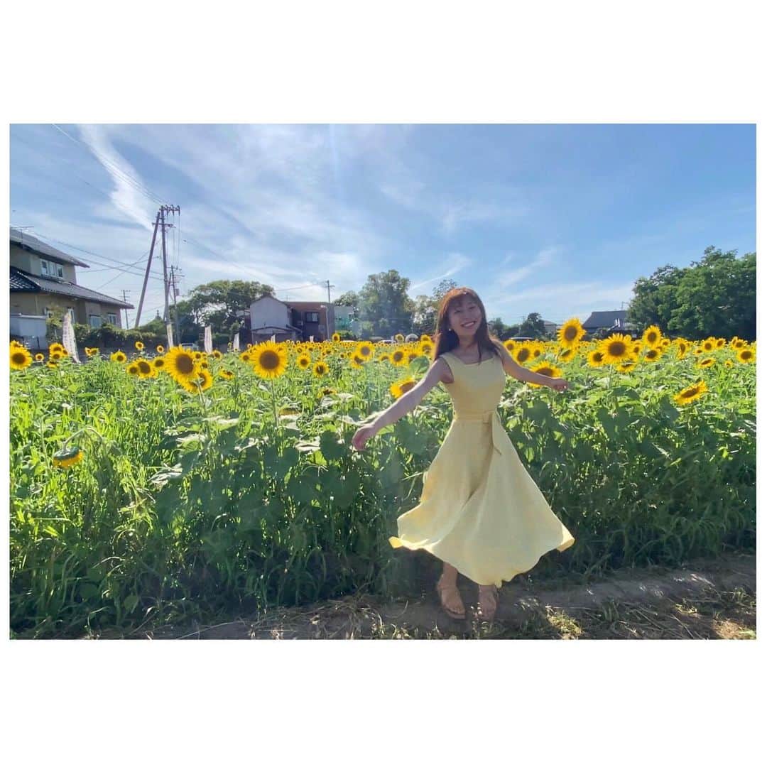 白戸ゆめのさんのインスタグラム写真 - (白戸ゆめのInstagram)「🌻 . 今年初ひまわりにルンルンな白戸です笑  さあ、この後21時からは バスケ日本代表戦🏀！ 渡邊雄太選手を香川から応援します📣 . #ひまわり #夏 #1番好きな花 #sunflower  #黄色 #ワンピース #坂出市 #江尻町 #金山ひまわり園  #バスケ #日本代表 #スペイン戦 #渡邊雄太 #香川」7月26日 20時45分 - yumeno.s_