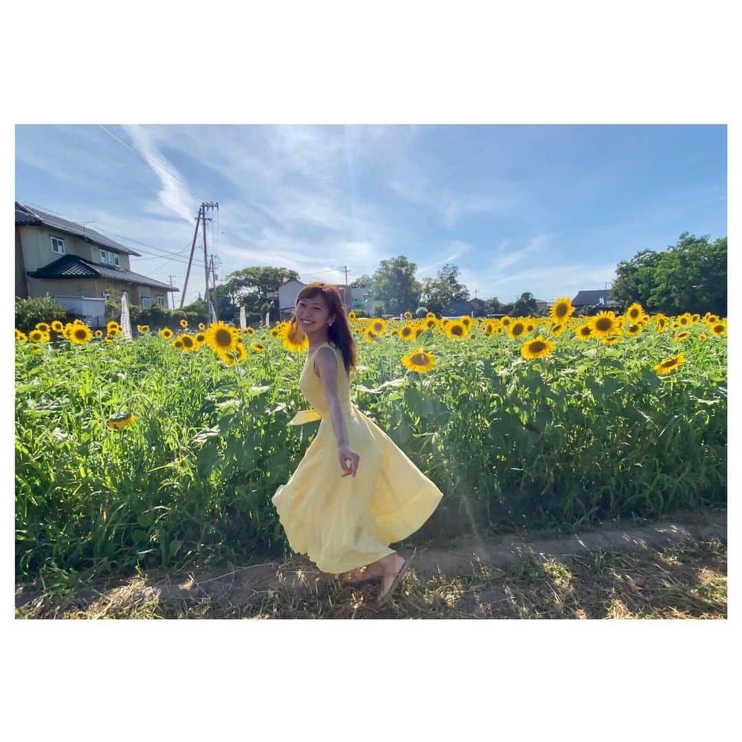 白戸ゆめのさんのインスタグラム写真 - (白戸ゆめのInstagram)「🌻 . 今年初ひまわりにルンルンな白戸です笑  さあ、この後21時からは バスケ日本代表戦🏀！ 渡邊雄太選手を香川から応援します📣 . #ひまわり #夏 #1番好きな花 #sunflower  #黄色 #ワンピース #坂出市 #江尻町 #金山ひまわり園  #バスケ #日本代表 #スペイン戦 #渡邊雄太 #香川」7月26日 20時45分 - yumeno.s_