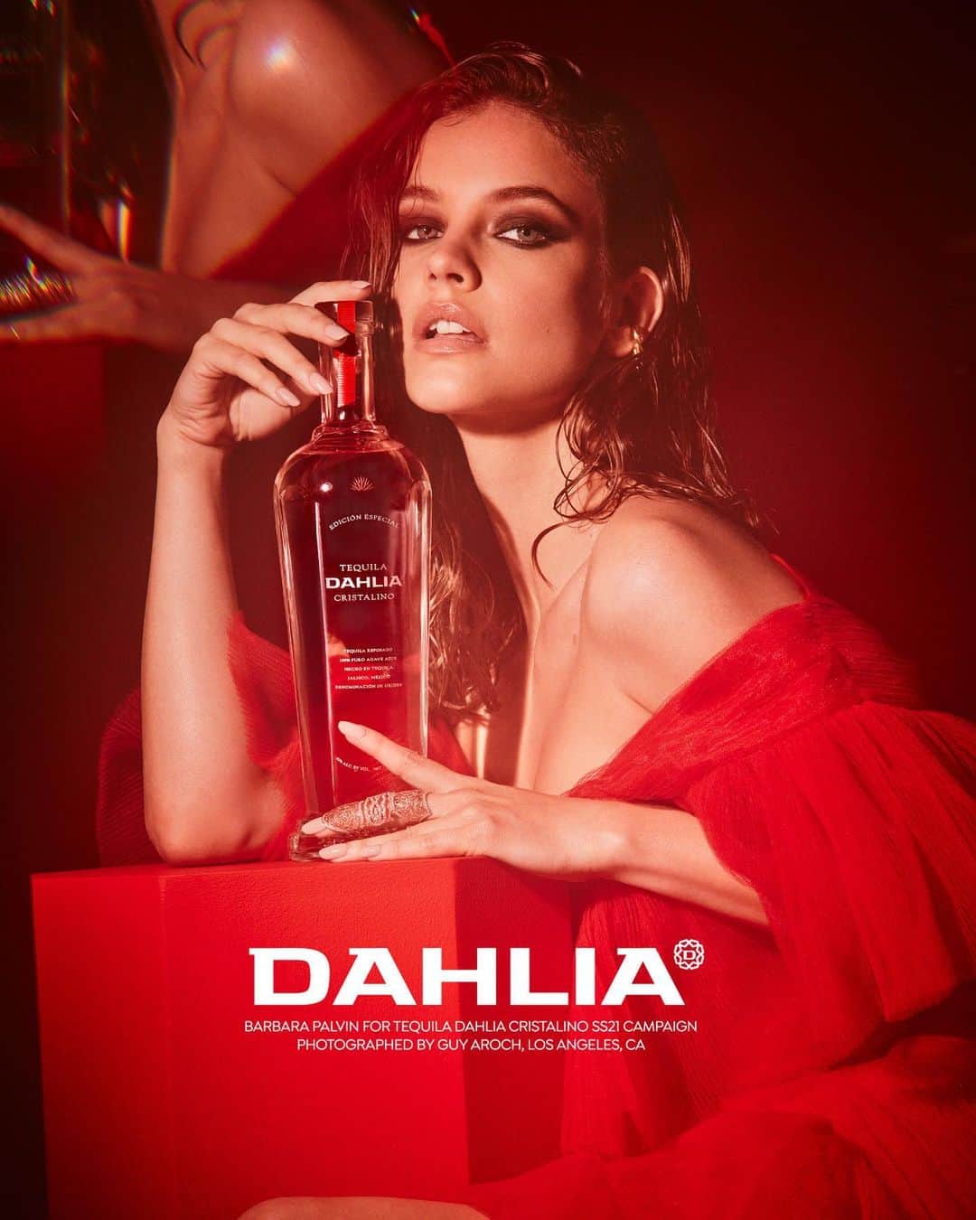 バルバラ・パルヴィンさんのインスタグラム写真 - (バルバラ・パルヴィンInstagram)「Meet @Dahlia. 🌺  Delicate, courageous, modern and artistic.  A new, fashion take on tequila.  Follow along to see the rest of the campaign🤗#findyourdahlia」7月27日 1時59分 - realbarbarapalvin