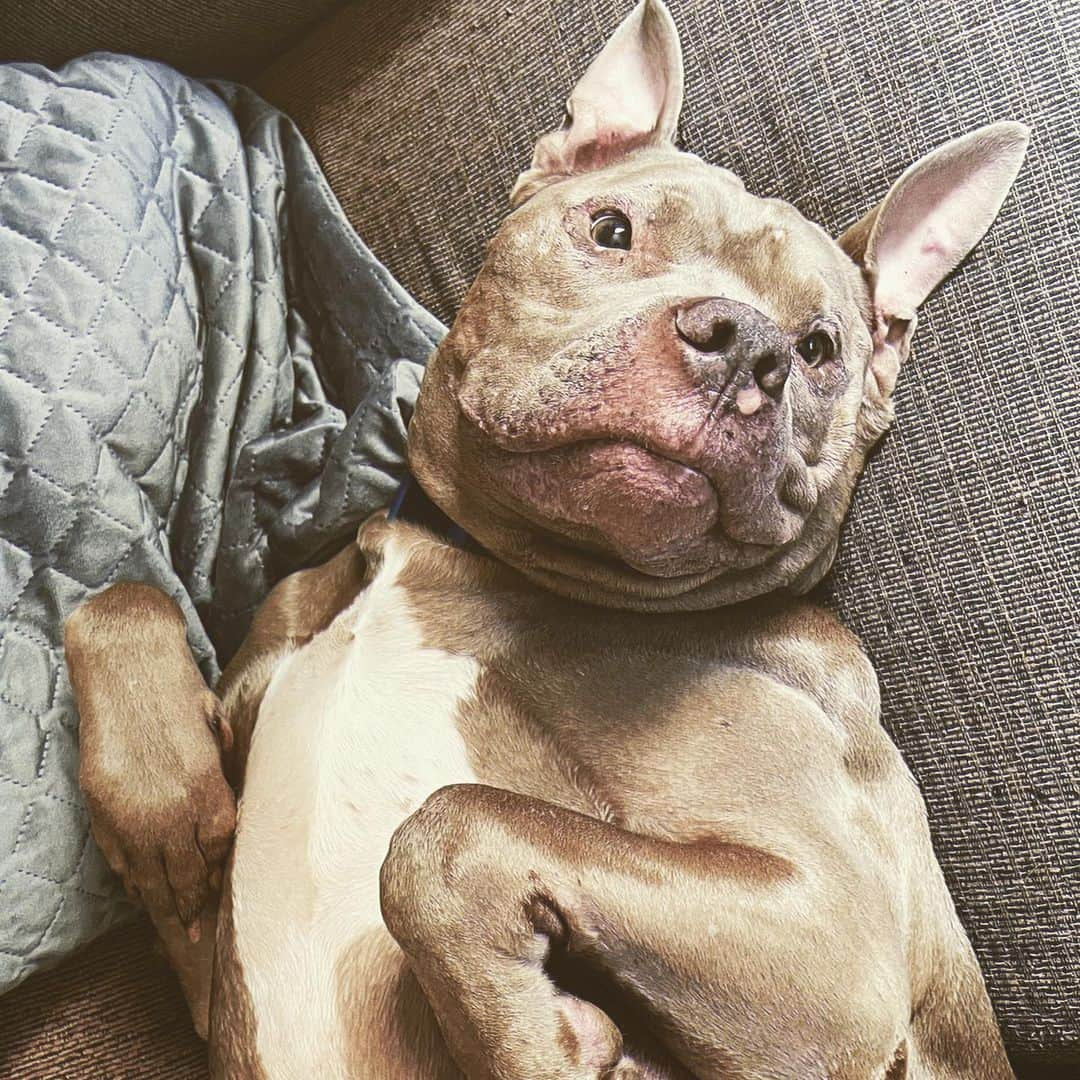 リアンナ・デッカーのインスタグラム：「Monday mood 🐶❤️😴」