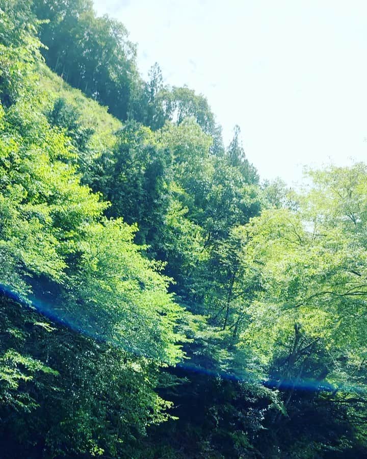 のインスタグラム：「歌無しバージョン。涼をどうぞ。 #memory #秋川渓谷 #refresh #cool #green #clean #water #river #lovelife #instamovie #instaview」