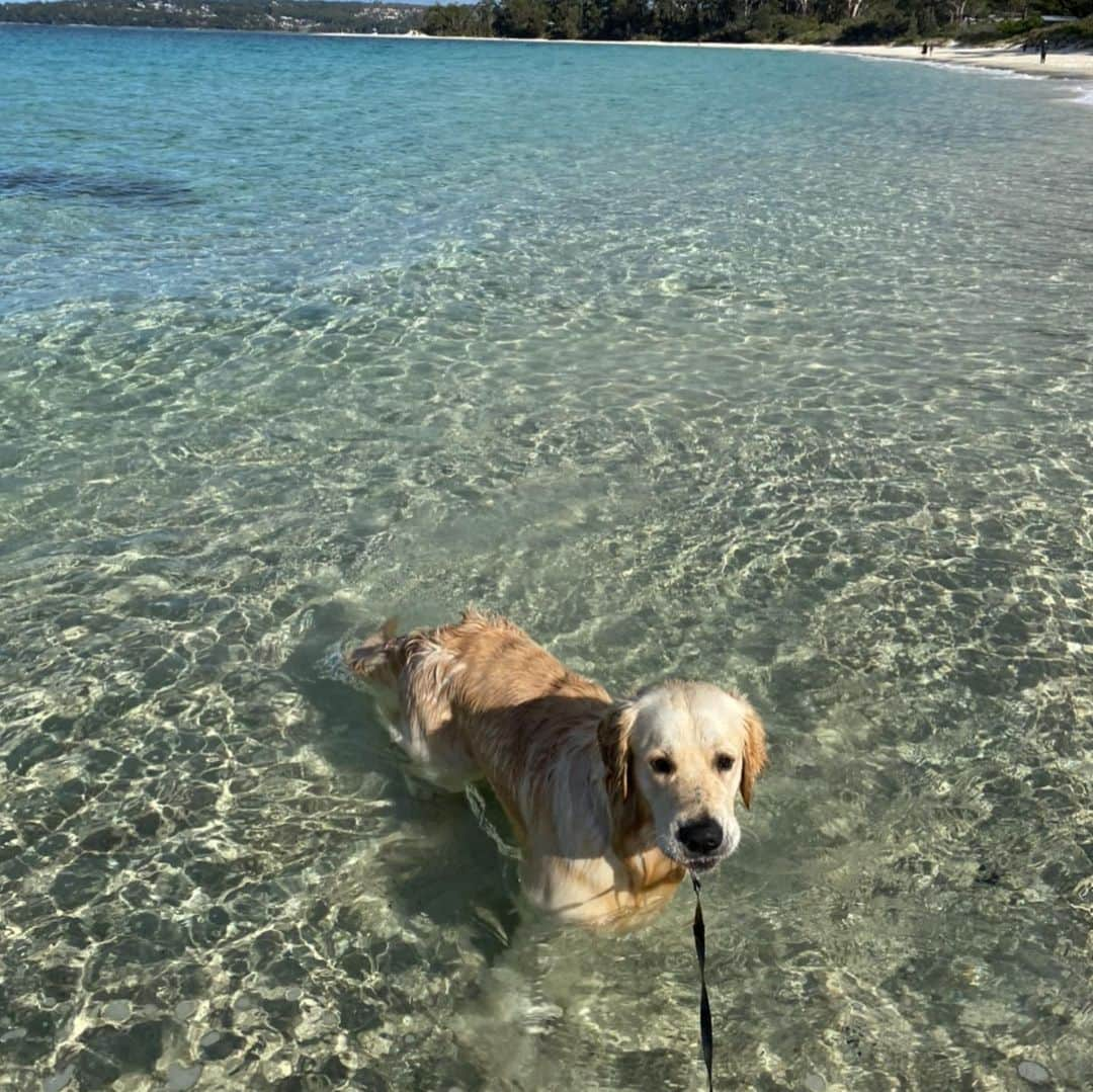 アダム・フェデリチさんのインスタグラム写真 - (アダム・フェデリチInstagram)「Birthday boy 🥳 the king of the house turns 1 😂」8月21日 9時14分 - federici32