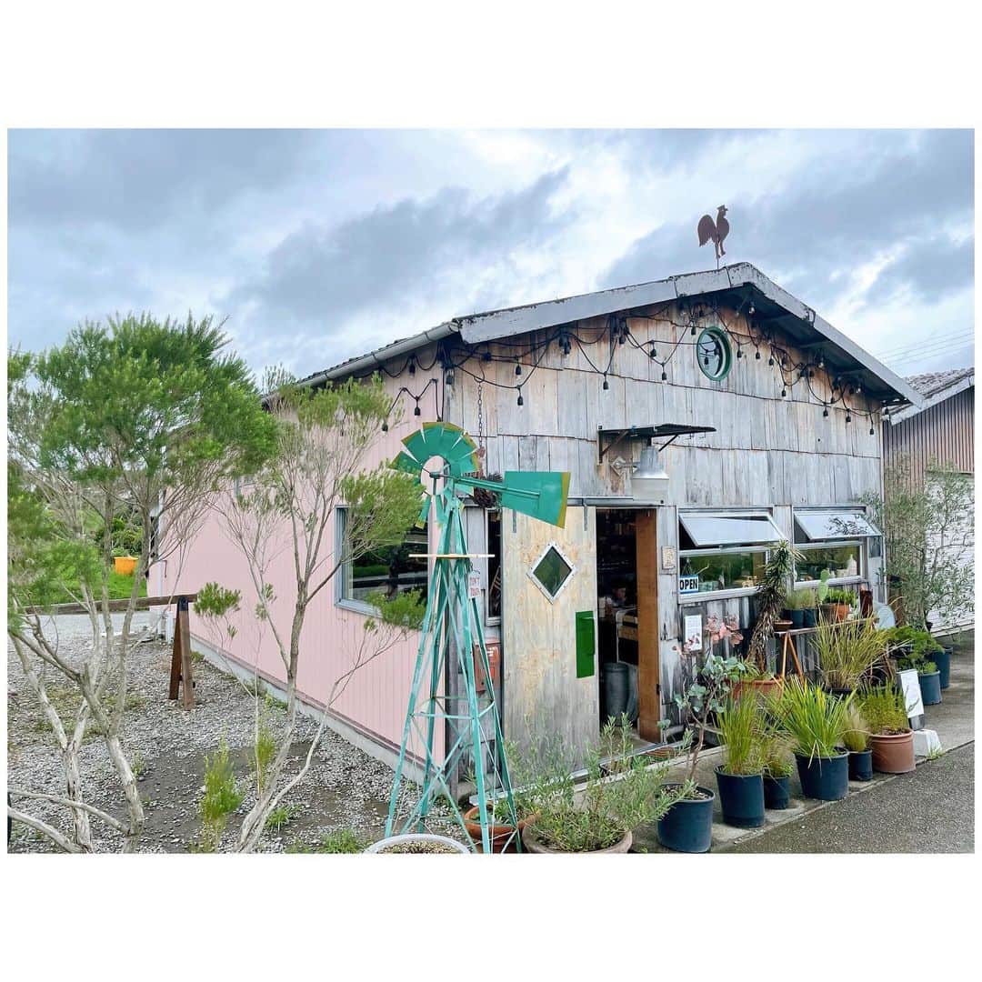 李ヒャンさんのインスタグラム写真 - (李ヒャンInstagram)「天気が悪くてテンションダダ下がりな毎日なんでw 先日気分上げに🍔を食べに行ってきた。 畑の中にぽつんとアメリカンなお店。 顎はずれそうなくらい大きなハンバーガーがっつり食べてきました。 見た目よりはあっさり、バンズも美味しかったよ。 ケチャップが ❤️に見える😚 お昼前には着いたけど既にほぼ満席でした。 行くなら早めか遅めかが良いかもです。 がっつりハンバーガーたまにむしょーに食べたくなる。 また違うバーガー屋巡りする予定😋 #yum #yummy #hamburger #三田グルメ」8月21日 10時49分 - 73hyang