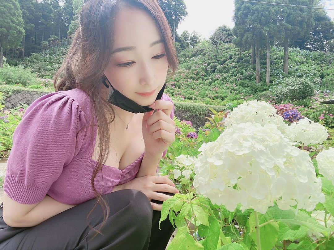 蓮実クレアさんのインスタグラム写真 - (蓮実クレアInstagram)「・ ・ ・ Hydrangea season It was beautiful See you next year ・ 紫陽花の時期 綺麗だったな😌 また来年✨ ・ #蓮実クレア #紫陽花 #梅雨 #instagood #instadaily」8月21日 12時38分 - hasumi_kurea