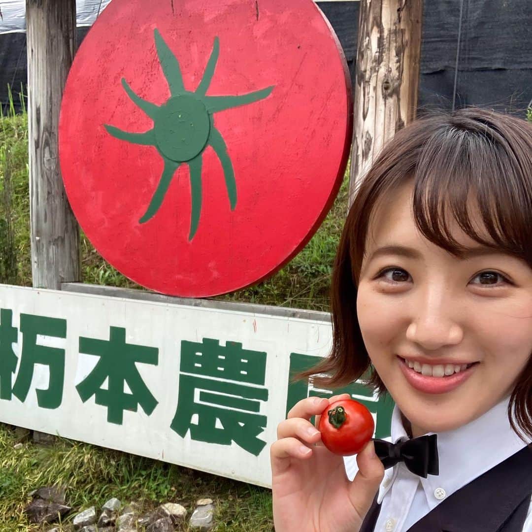 東留伽さんのインスタグラム写真 - (東留伽Instagram)「8/21 コレうまの旅！ #まるはち食堂 のけいちゃん、とーっても美味しかったです😊  ゲロバタースタンド！テーマパークみたいで楽しい😆 こちらで購入できるドリンクも可愛かったです🐸  栃本農園さんのフルーツトマトは皮が柔らかく、甘くて食べやすかったです！🍅  #岐阜県 #下呂温泉 #下呂市 #ゲロゲロバタースタンド #バタークッキー #カエル🐸 #栃本農園 #フルーツトマト #グルメ #スイーツ」8月21日 13時22分 - azumaruka_abc