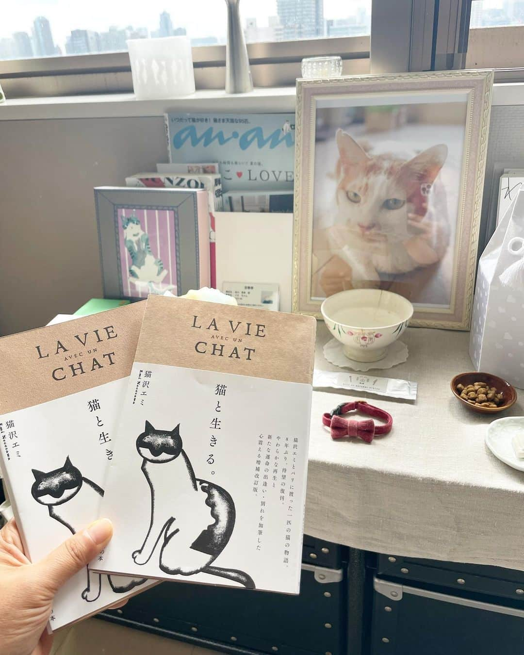 猫沢エミさんのインスタグラム写真 - (猫沢エミInstagram)「イオちゃん、ピキ、表紙の色校正が来たよ。  どっちがいいかなぁ…と相談する。  どちらにせよクラフト感があってとってもステキね。  旧版装幀を手がけてくれた真舘アニーも、手作りやクラフト感を大切にする人だった。　  装幀デザインは「ねこしき」に続き、若井夏澄さん @wakai_tri 。アニーのデザイン哲学をよく理解してくださって、リスペクトを感じる素晴らしいお仕事ぶりです。  私がひとりで本を作っているのではない。関わっているスタッフ全員に感謝しています。この世にいるヒトもあの世にいるヒトも全員ね😊  #猫と生きる　#猫沢イオ　#猫沢ピキ　#イオちゃんフォーエバー　#真舘嘉浩-waters/orgasmo  #猫沢組」8月21日 13時29分 - necozawaemi