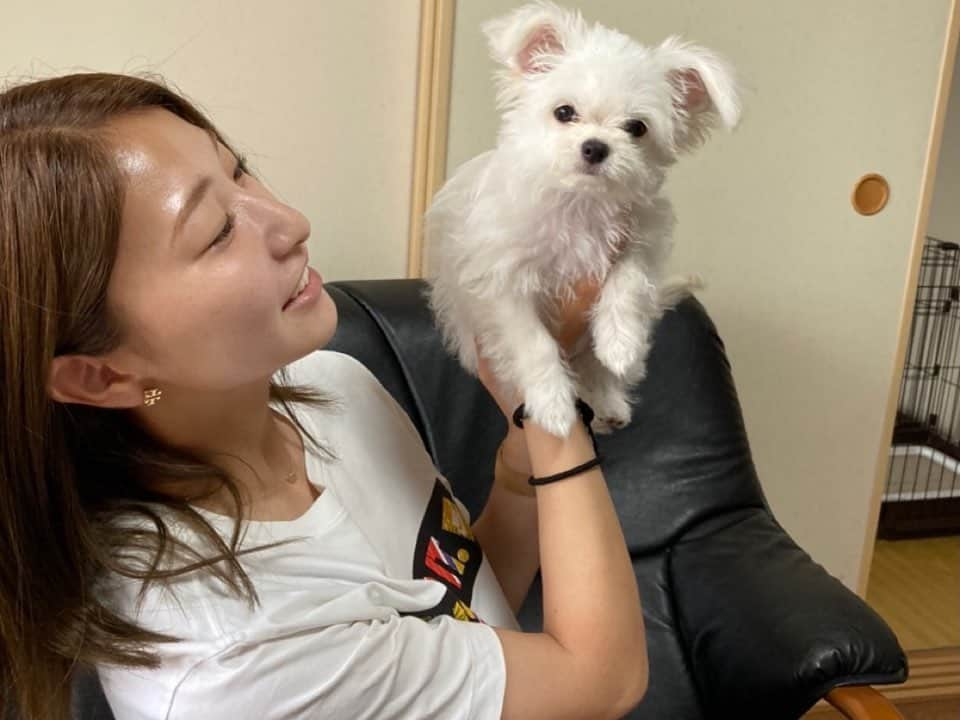 塩越柚歩さんのインスタグラム写真 - (塩越柚歩Instagram)「. 最近のいぬとわたし🐶👩🏼 ⁡ つむとぜんとこことおれお🐾 いぬって正面の顔撮るのたいへん🐾」8月21日 18時02分 - yuzuho_shiokoshi19