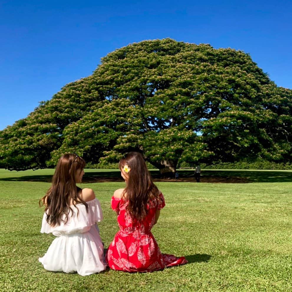 美波千夏さんのインスタグラム写真 - (美波千夏Instagram)「. 『ハワイから帰ってくるといいことがある』 私の中のジンクス💓💓 パワースポット🌴🐠🌺 今は我慢🥺」8月21日 19時49分 - chinatsu_minami