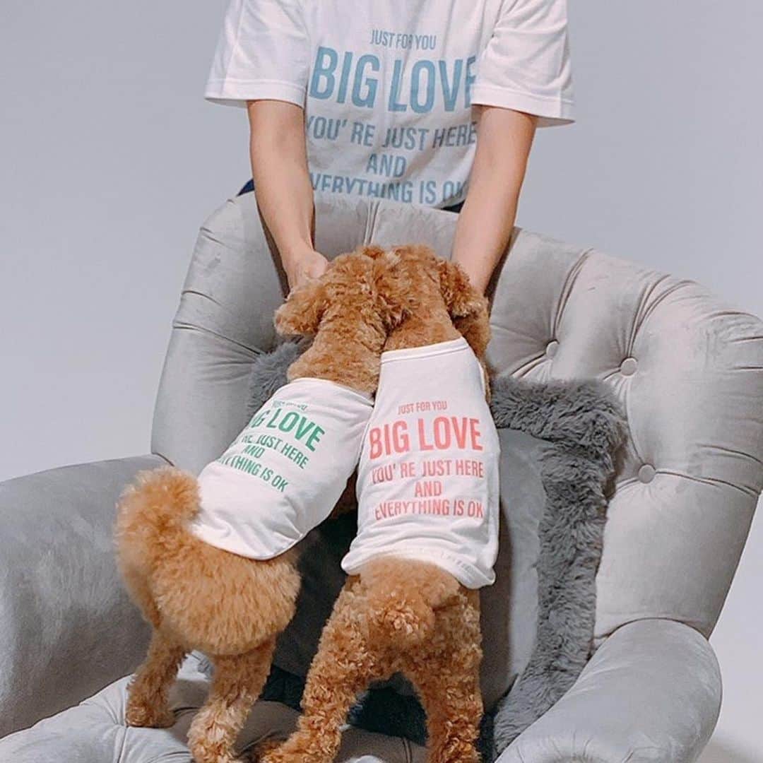 渡辺美奈代さんのインスタグラム写真 - (渡辺美奈代Instagram)「BIG LOVE❤️  #お揃いTシャツ #わんことおそろ #BIG LOVE❤️ #Tシャツ #撮影してきたよ」8月21日 21時39分 - watanabe_minayo