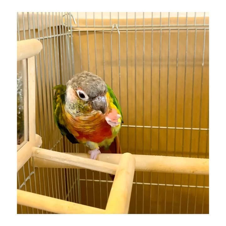 上坂嵩のインスタグラム