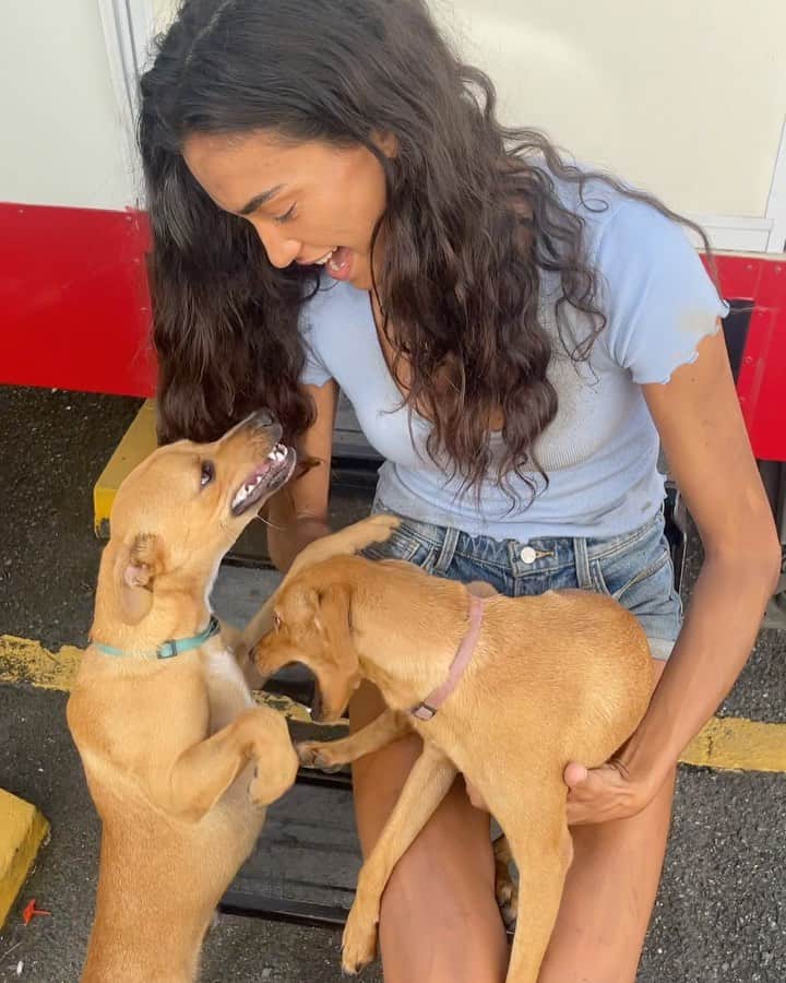 ケリー・ゲイルのインスタグラム：「Found these cuties on set and decided I’m gonna bring them back to LA and keep Maní (as long as Zoe gets along with him) and I’m looking to find a home for Luna. Friends, hit me up if you want to adopt the cutest pup ever🥺🐶❤️」