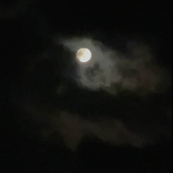 のインスタグラム：「🌕」